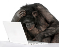 monkey_computer